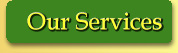 Our Services